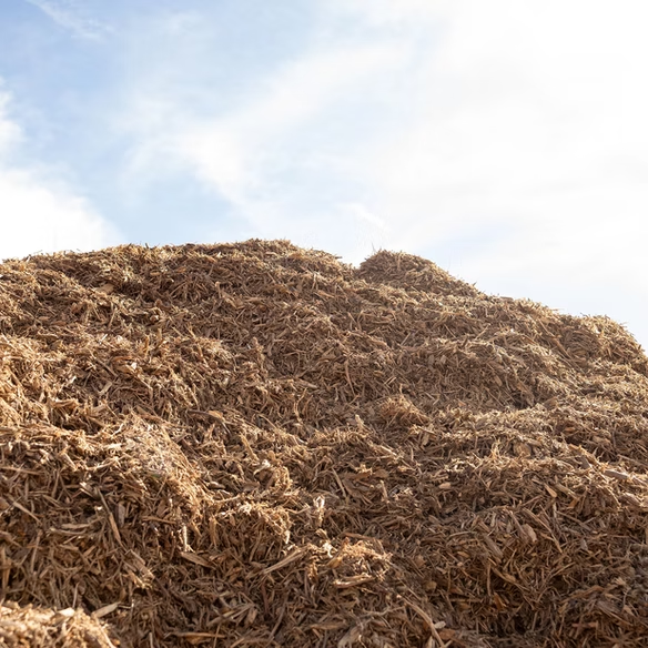 Rocky Top Resources - Natural Coarse Tree.png